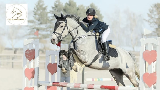 D4 Horseshow
