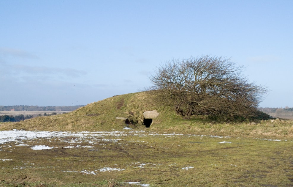 Birkehøj Passage Graves