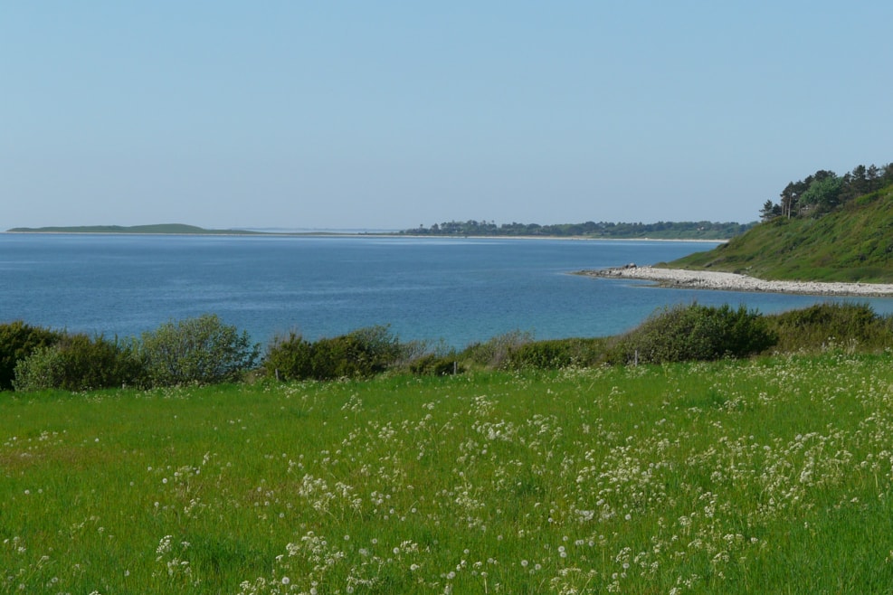 Knarbos Klint - Kårup