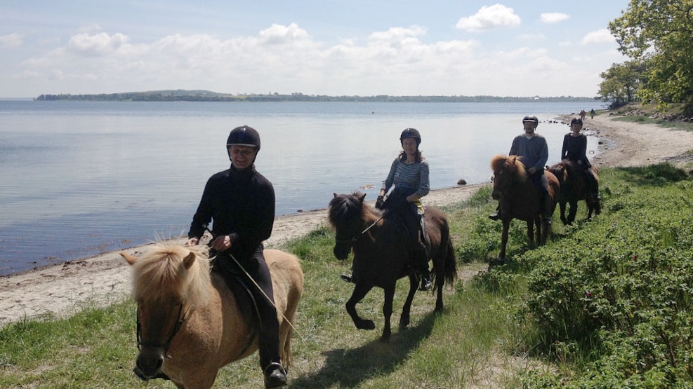 Stokkebjerg Horseback Tours