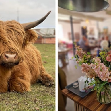 Flid Gods –  Hofladen und Café