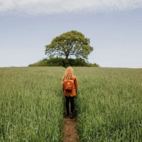 Ein Wanderführer für das Fjordlandet