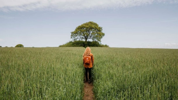 Ein Wanderführer für das Fjordlandet