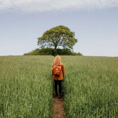 Ein Wanderführer für das Fjordlandet