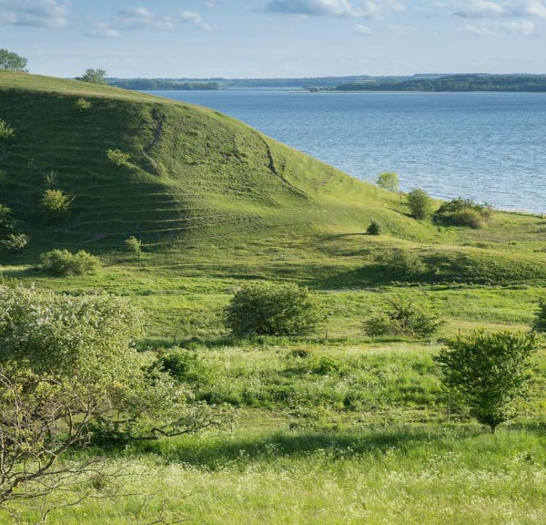 Ejby Ådal - eventyrlig ådal med udsigt over Isefjord