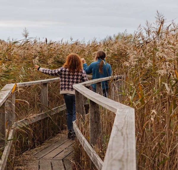 Efterår i Nationalpark Skjoldungernes Land