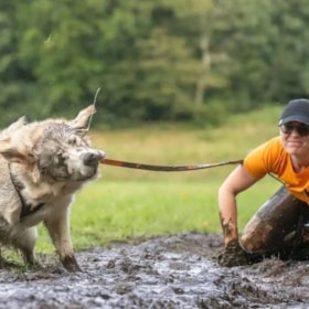 Hundeforhindringsløb på Ledreborg Livsstilsdage – K9 Biathlon