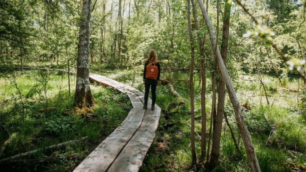 Skjoldungestien – Wanderroute