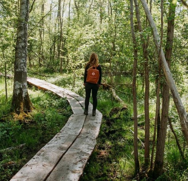 Skjoldungestien - vandrerute