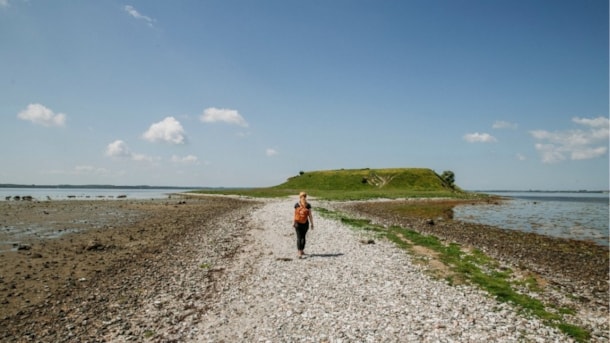 Bolund ved Roskilde Fjord – istidslandskab, vandretur og fugleliv
