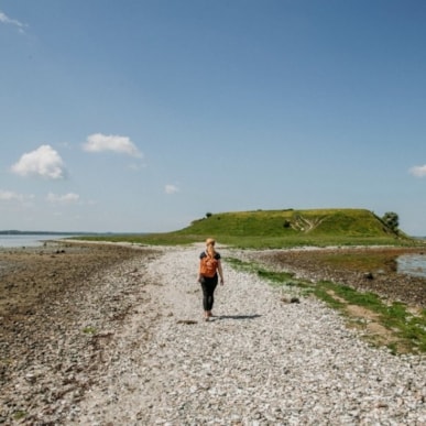 Bolund ved Roskilde Fjord – istidslandskab, vandretur og fugleliv