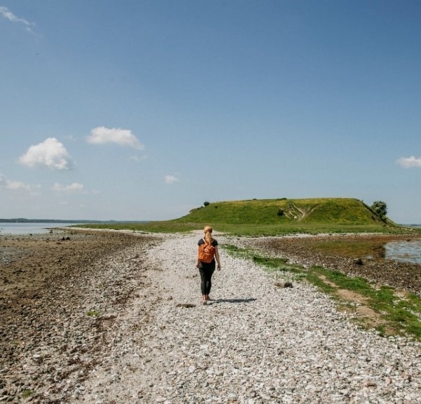 Bolund ved Roskilde Fjord – istidslandskab, vandretur og fugleliv