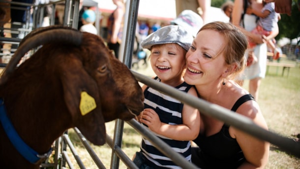 Roskilde Dyrskue – Dänemarks größte Tierschau