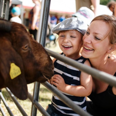 Roskilde Dyrskue - The Largest Agricultural & Livestock Fair in Denmark