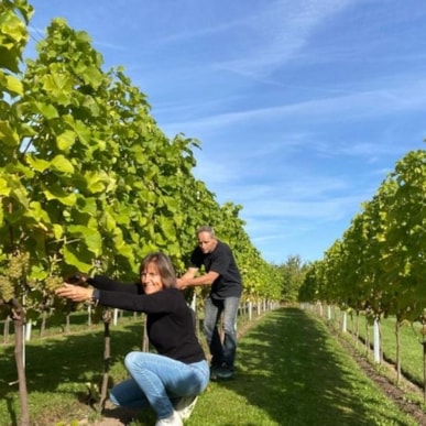 LangeLinie Vin – Weingut und Ferienwohnungen