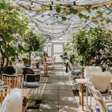 Sct. Hans Have – haverne i haven ved fjorden