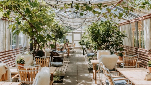 Sct. Hans Have – haverne i haven ved fjorden