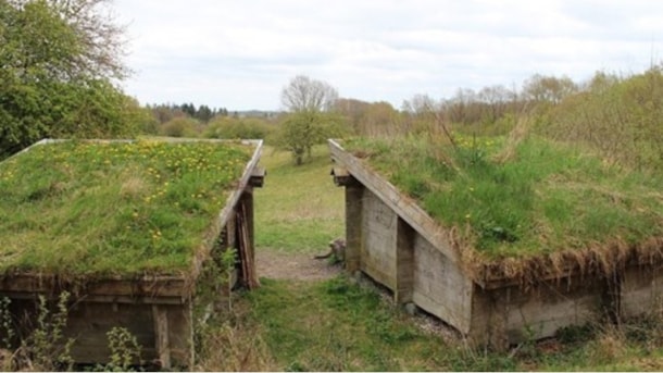 Sheltere ved Avnstrup Spejdercenter