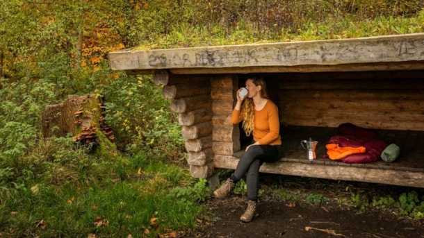 Kong Roars shelterplads i Boserup Skov