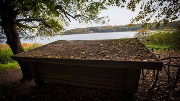 Bregnebjerg shelter i Boserup Skov