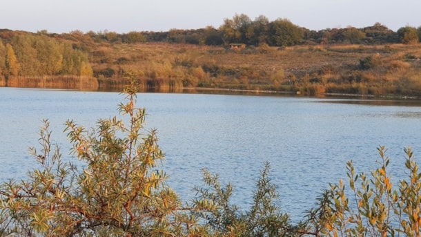 Lynghøjsøerne Øst shelter