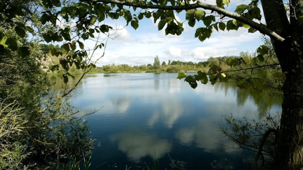Skuldelev Grusgrav shelter
