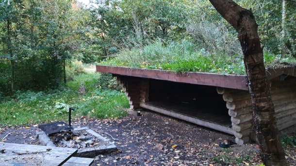 Shelter ved Hammer Bakke