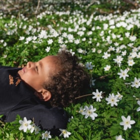 Boserup Skov ved Roskilde