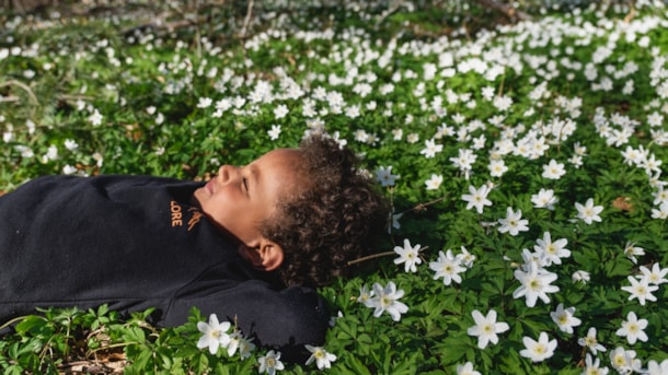 Boserup Skov ved Roskilde