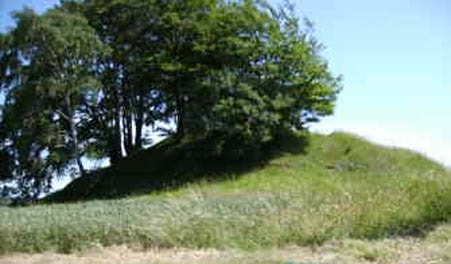 Hvedshøj Burial Mound