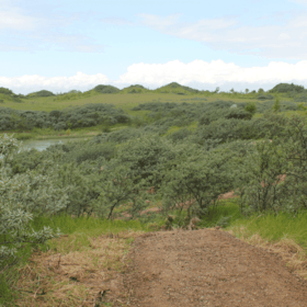 Hedeland Recreational Resort