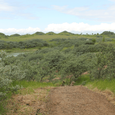 Hedeland Naturpark – natur, kultur og oplevelser året rundt
