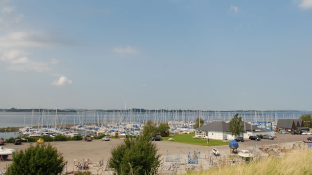 Jyllinge Lystbådehavn – fjordens maritime knudepunkt ved Roskilde Fjord