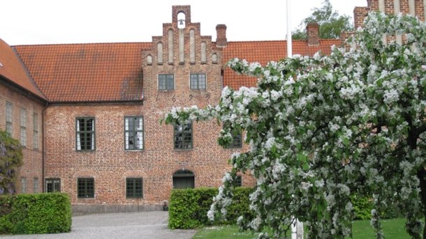 Roskilde Kloster - En kulturhistorisk perle midt i byen