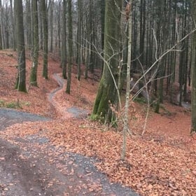Mountain bike trail in Sønderskoven, Vejle