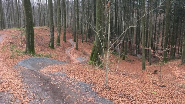 Mountain bike trail in Sønderskoven, Vejle