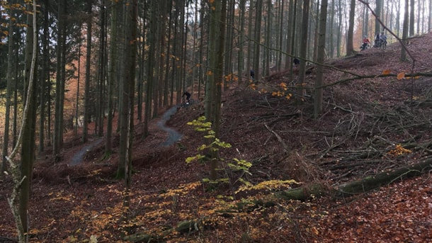 Mountain bike trail in Sønderskoven, Vejle