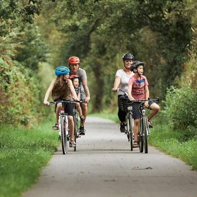 Der Bindeballe-Weg - Regionalroute 36
