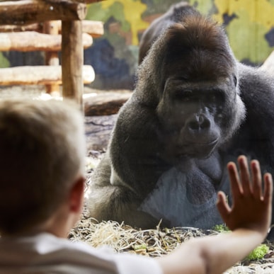 GIVSKUD ZOO