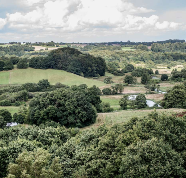 Das Naturgebiet bei Vejle und Egtved Flusstäler