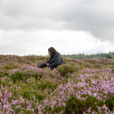 Randbøl Heide