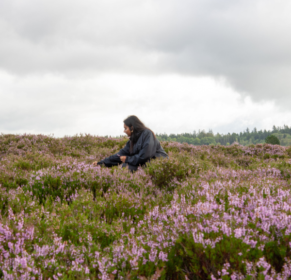 Randbøl Heide