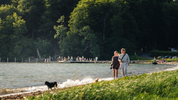 Tirsbæk Strand