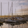 Vejle Marina