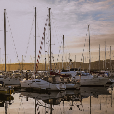 Der Yachthafen von Vejle