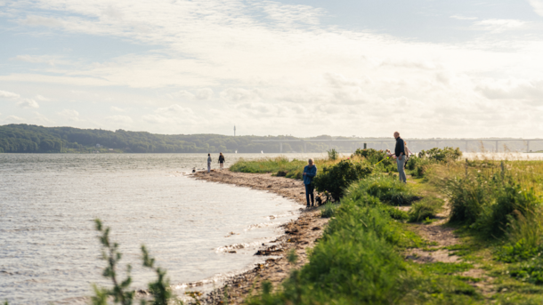 Vejle Fjord - Tirsbæk, Ulbækhus og Daugårdstrand