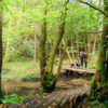 Grejsdalstien – ein Wanderweg zwischen Vejle und Jelling
