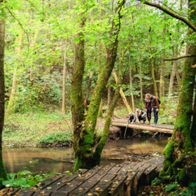 Grejsdalstien – hiking route between Vejle and Jelling
