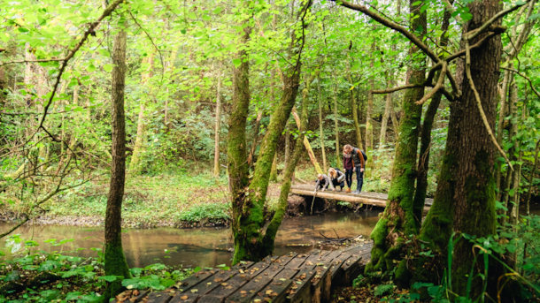 Grejsdalstien – hiking route between Vejle and Jelling