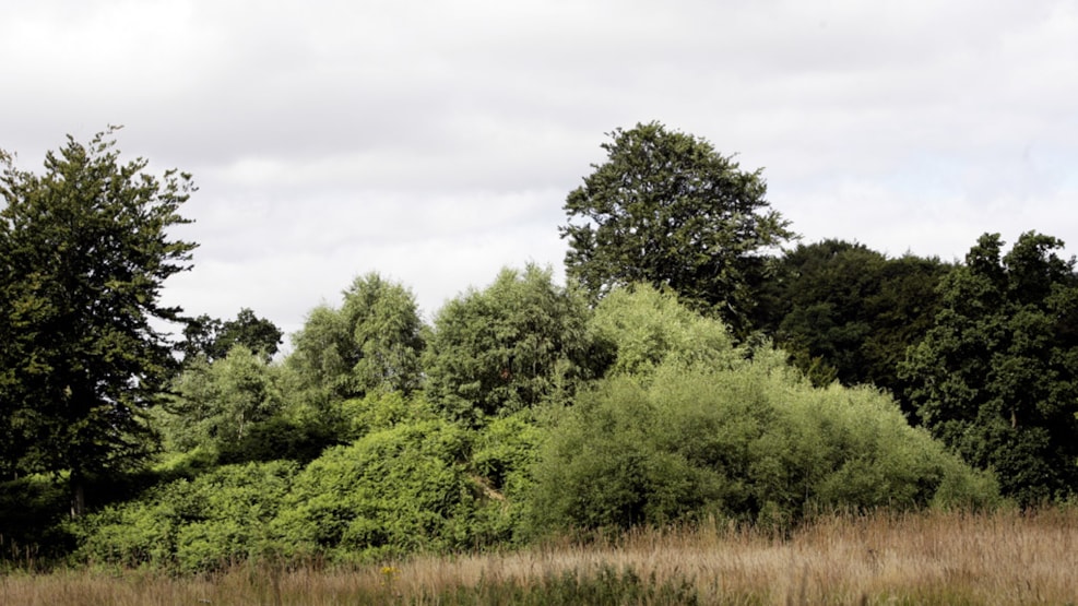 Trindvold/Trindhøj (Viking Age fortress)